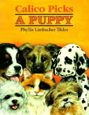 Calico Picks a Puppy cover