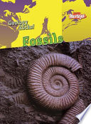 Fossils (Freestyle) cover