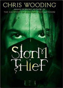 Storm Thief cover