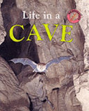 Life in a Cave cover