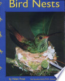 Bird Nests cover
