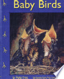 Baby Birds cover