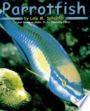 Parrotfish cover