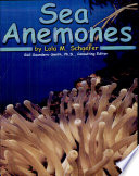 Sea Anemones (Capstone) cover