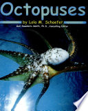 Octopuses cover