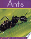 Ants cover