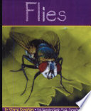 Flies cover