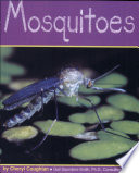 Mosquitoes cover