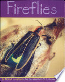 Fireflies cover