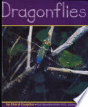 Dragonflies cover