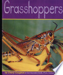 Grasshoppers cover