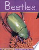 Beetles cover
