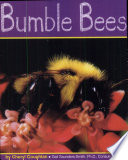 Bumble Bees cover