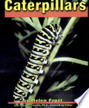 Caterpillars cover