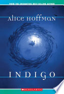Indigo cover
