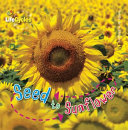 Seed to Sunflower cover