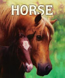 Horse cover