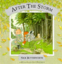After the Storm cover
