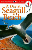 A Day at Seagull Beach cover