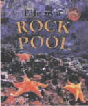 Life in a Rock Pool cover