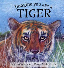 Imagine You Are a Tiger cover