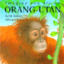 Imagine You Are an Orang-Utan cover