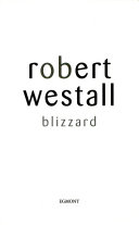 Blizzard cover