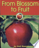 From Blossom to Fruit cover