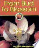 From Bud to Blossom cover