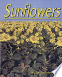 Sunflowers cover