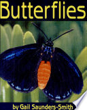 Butterflies cover