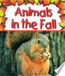 Animals in the Fall cover