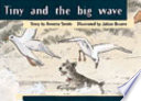 Tiny and the Big Wave cover