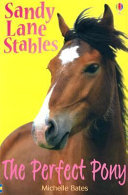 The Perfect Pony cover