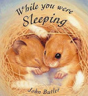 While You Were Sleeping cover