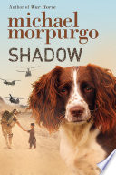 Shadow cover