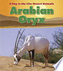 Arabian Oryx cover