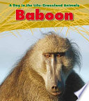 Baboon cover