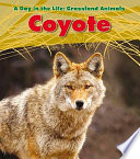 Coyote cover
