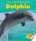 Dolphin cover