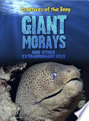 Extraordinary Eels cover