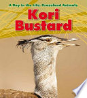 Kori Bustard cover