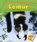 Lemur cover