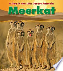 Meerkat cover