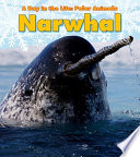 Narwhal cover