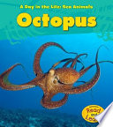 Octopus cover