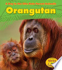Orangutan cover