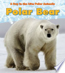 Polar Bear cover