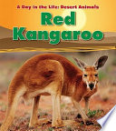 Red Kangaroo cover