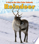 Reindeer cover